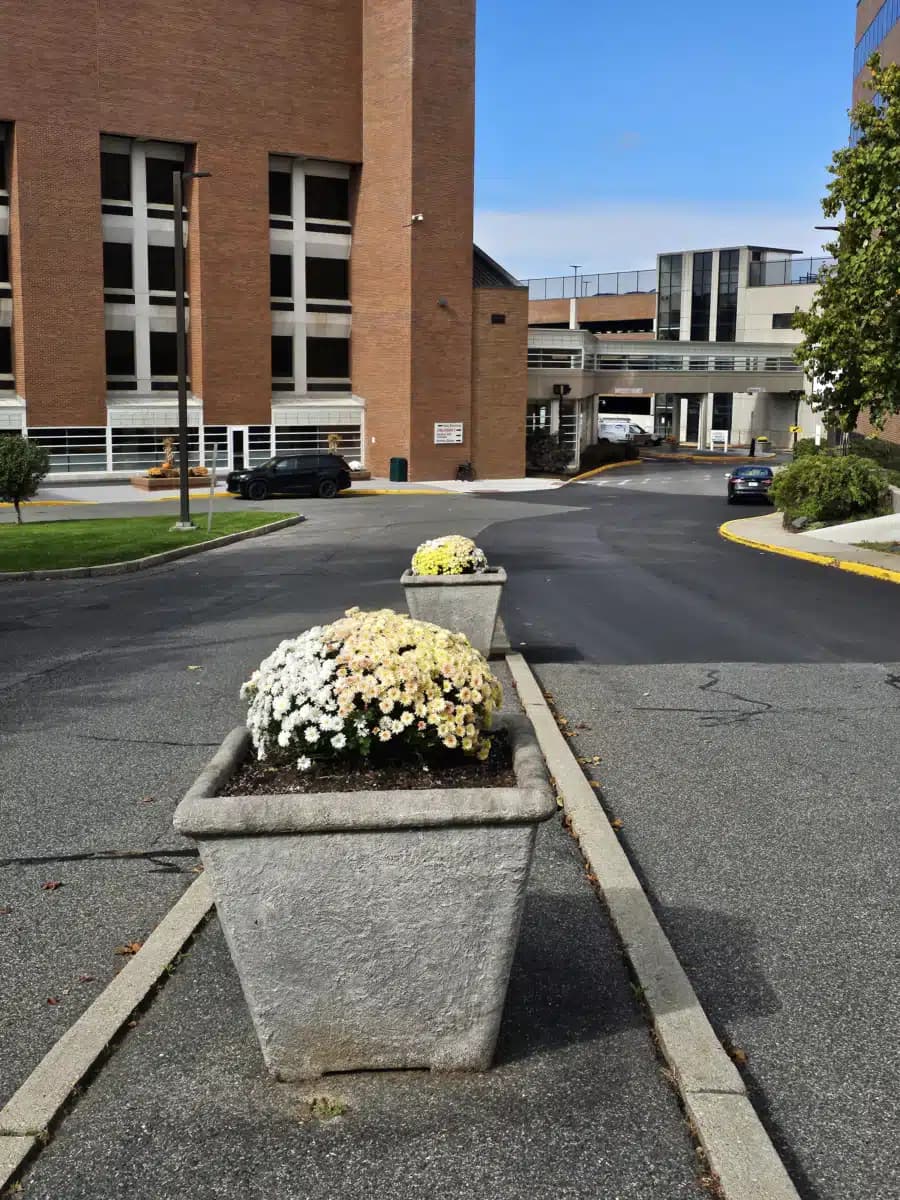 Berkshire Medical Center